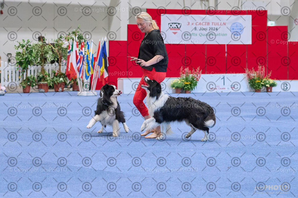 202406_ÖKV-IHA-Tulln24_DSC_4344 | proPHOTO - Realisiert mit Pictrs.com