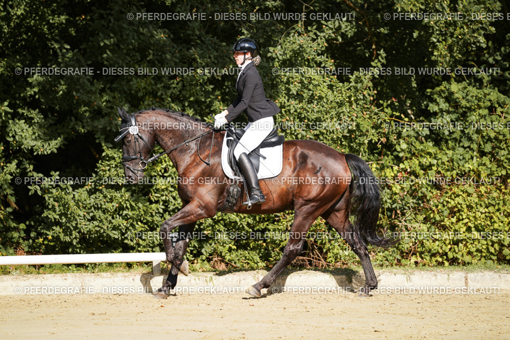 DSC08200 | Pferdegrafie