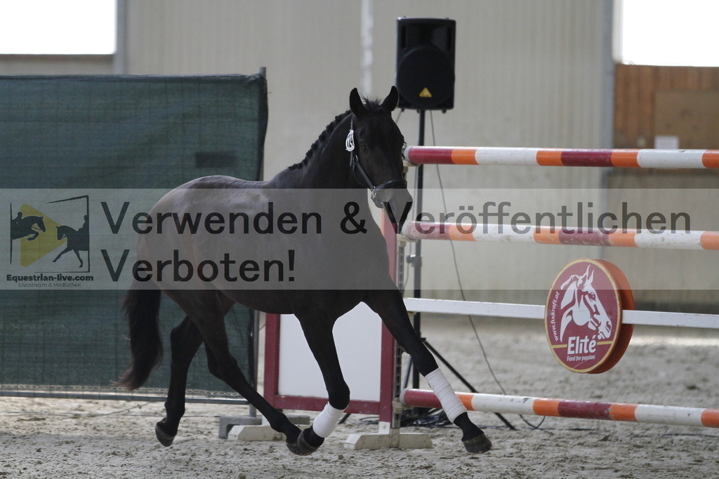 _MG_9700 | equestrian-live-com