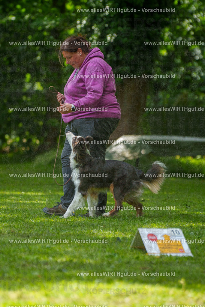 @allesWIRTHgut_Tierfotografie - www.allesWIRTHgut.de - 7R504945 | Professionelle Tierfotografie in Mönchengladbach von Daniel Wirth (allesWIRTHgut). Liebevolle & natürliche Bilder von Hunden & Katzen für unvergessliche Erinnerungen.