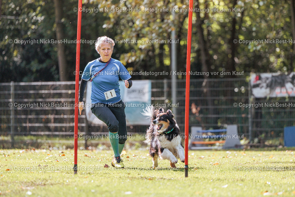 THS-HSV-Blumenthal-2026-Nickbest-Hundefotografie-3629 | Dein Hund! Dein Moment! Deine Erinnerungen! Hundefotografie in Bremen Blumenthal. Ich fange die besonderen Momente deines Vierbeiners ein – ob Indoor mit Blitzanlage oder in der freien Natur. Sicher dir dein Moment und dein Termin für eure Erinnerungen.
