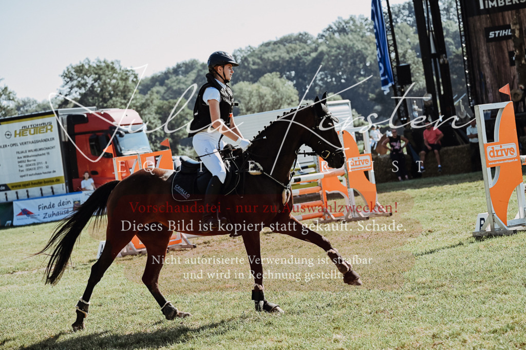 DSC_5487 | Pferde- und Turnierfotografie in Westsachsen. Pferdeportraits, Auftragszeichnungen und intuitive Kunst.