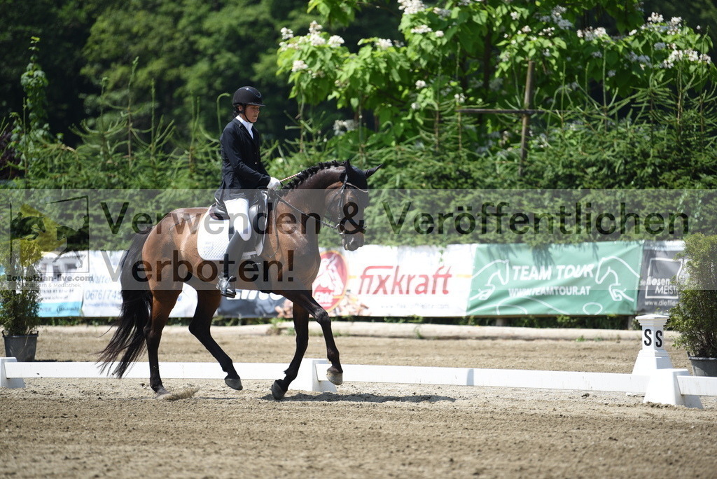 DSC_0177 | equestrian-live-com