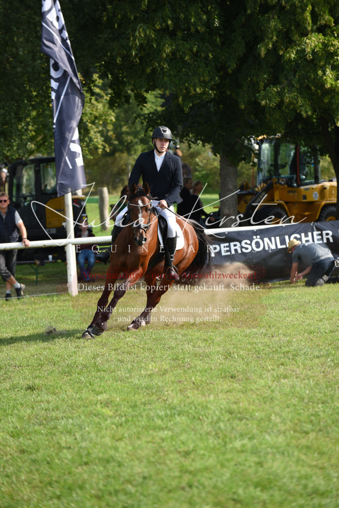 DSC_8716 | Pferde- und Turnierfotografie in Westsachsen. Pferdeportraits, Auftragszeichnungen und intuitive Kunst.