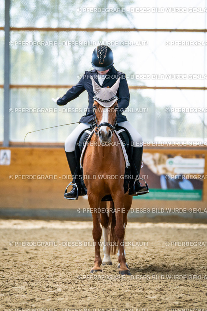 DSC05318 | Pferdegrafie