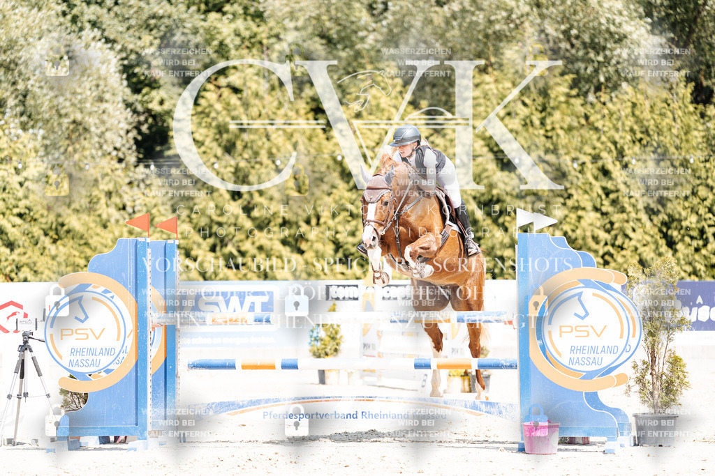 CK900987 | Turnierfotografie Pferdefotografie Trier Rheinland-Pfalz Pferdesport Reitsport Tierfotografie Sportfotografie Pferdevideo Pferdevideografie Equestrianvideography equestrianphotography  - Realisiert mit Pictrs.com