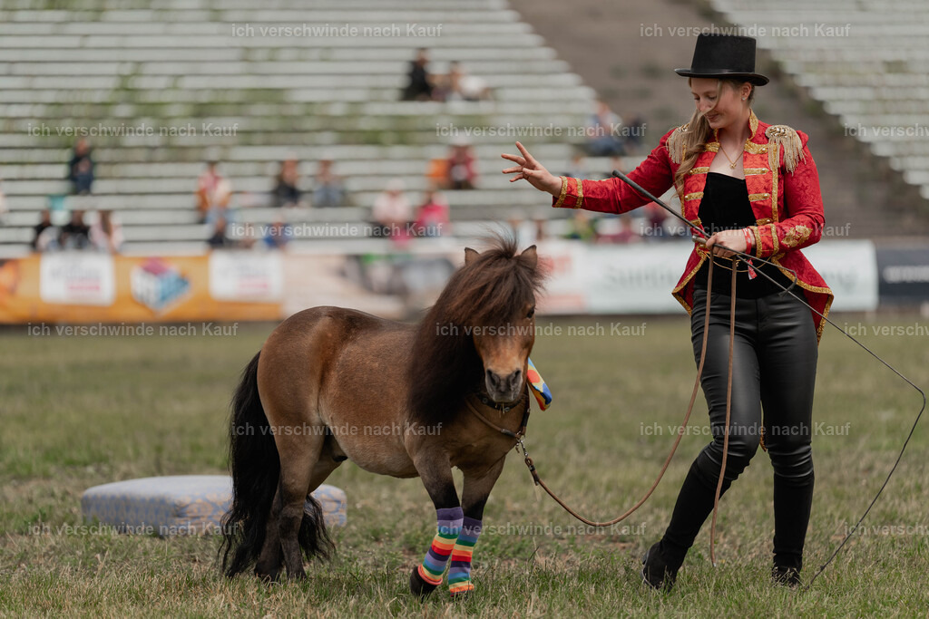 Showprogramm-235 | working equitationturnier fotograf videograf stoibphotography marixx film working equitation deutschland reitsport turnierfotografie eventfotografie equestrian events