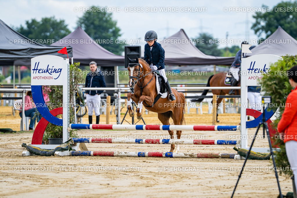 DSC06474 | Pferdegrafie