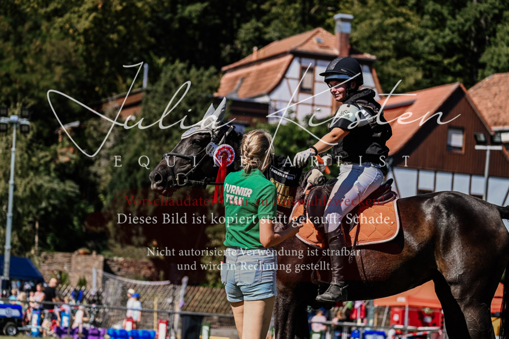 DSC_2612 | Pferde- und Turnierfotografie in Westsachsen. Pferdeportraits, Auftragszeichnungen und intuitive Kunst.