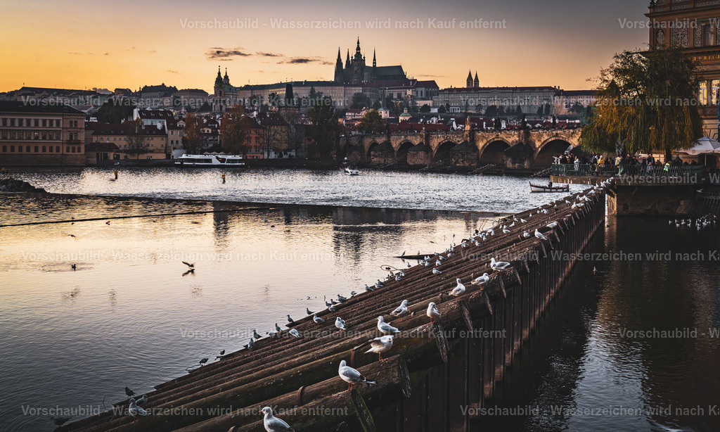 DSC03686 | marcuslinek