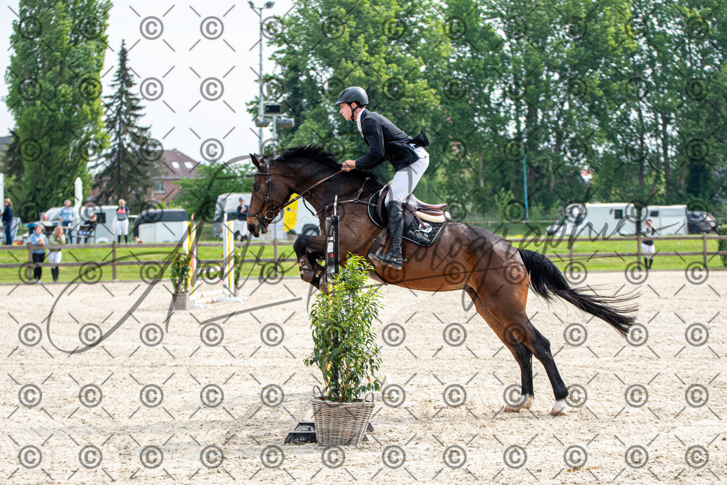 KPT_2445 | andre_photographic