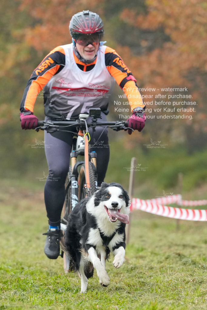 AusschnitteSa-136 | stephaniefillaphotographie - Realisiert mit Pictrs.com