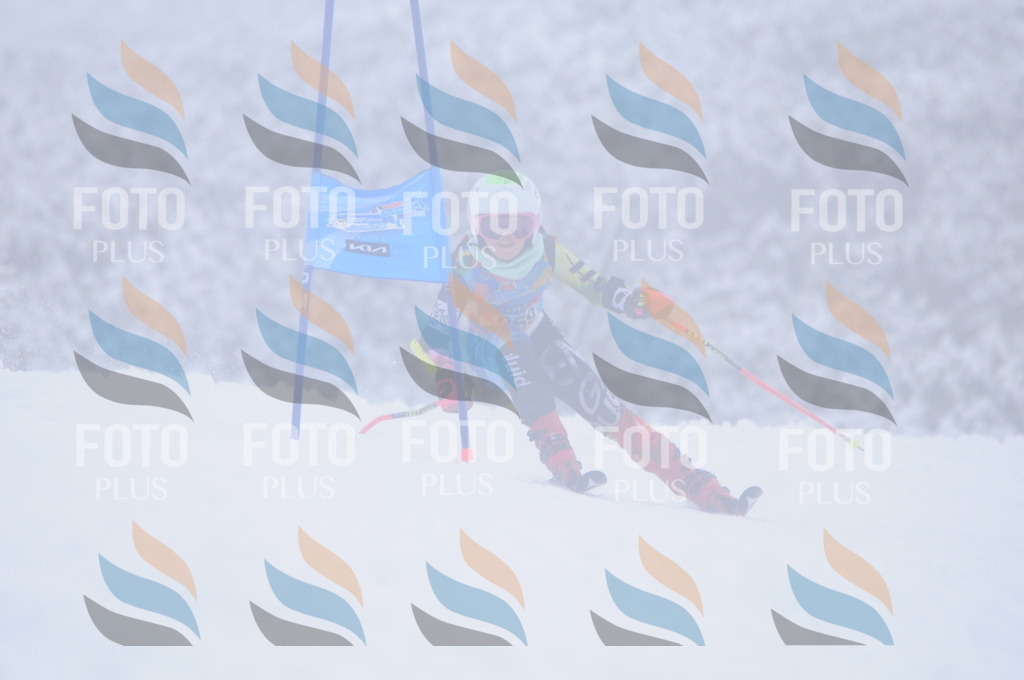 C2817 | holidayphoto