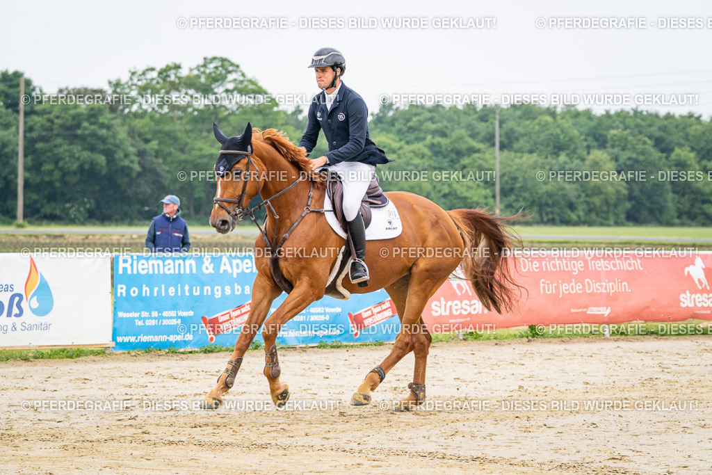 DSC09525 | Pferdegrafie