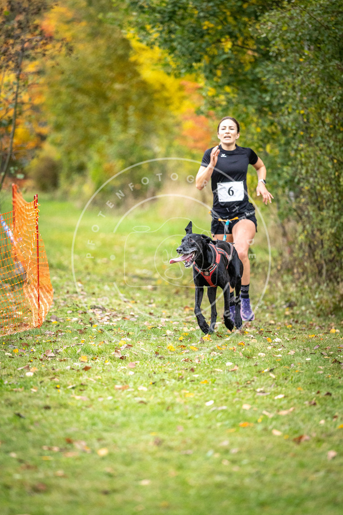 Pfotenfotografie_DV3A1720 | Hundefotografie, Tierfotograf, Pfotenfotografie, Fotoshooting Hund, Hunde Portrait, Hundesport, Hundeportraits, Heideshooting, Hunde, Sportfotograf, Hundefotograf, Turnierhundsport, THS,  - Realisiert mit Pictrs.com
