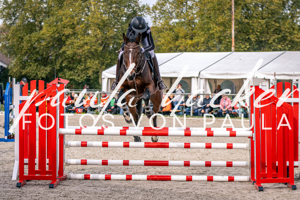IMG_5314 | Erleben Sie dynamische Sport- und emotionale Tierfotografie in Süddeutschland mit Fotos von Paula. Spezialisiert auf Pferde- und Hundefotografie sowie Sportevents. Kontaktieren Sie mich für einzigartige und ausdrucksstarke Bilder Ihrer besonderen Momente. - Realisiert mit Pictrs.com
