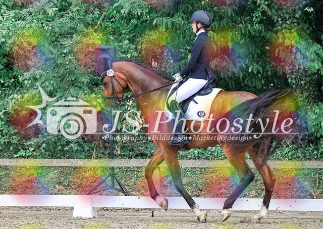 20250726_Dressurreiterprfg_Kl.L-246 | JS-Photostyle - Sport-/Portrait- & Eventfotografie
