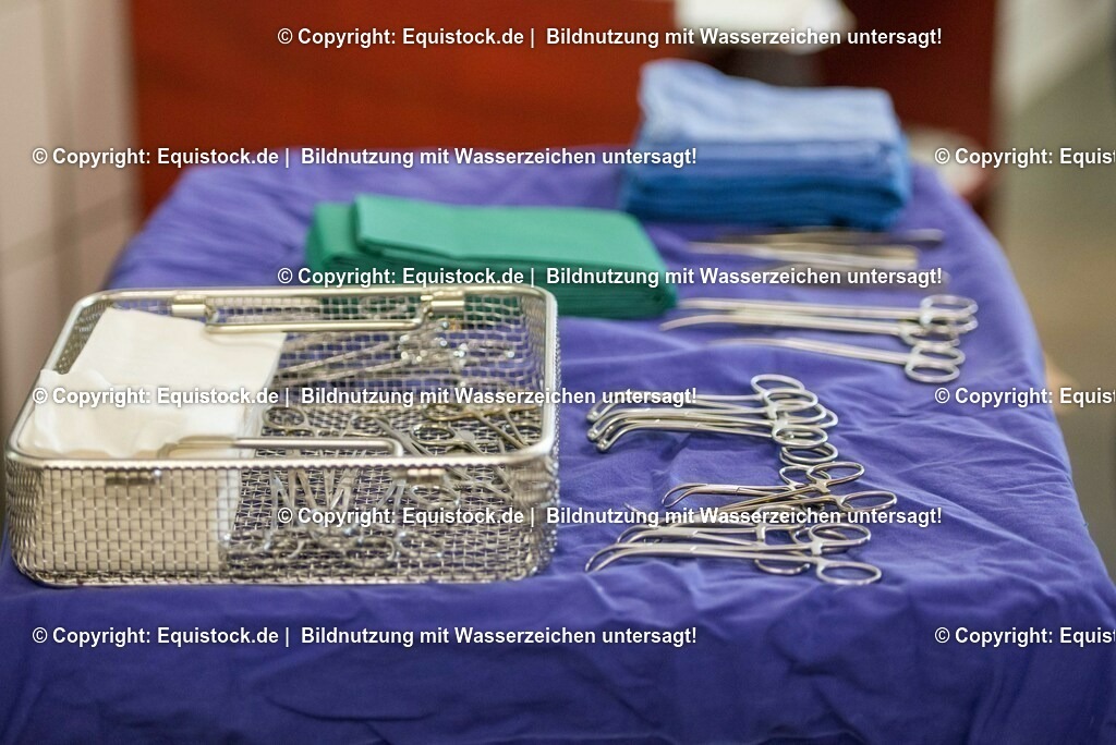 20160309_Sehnenschnitt_OP__0017 | equistock