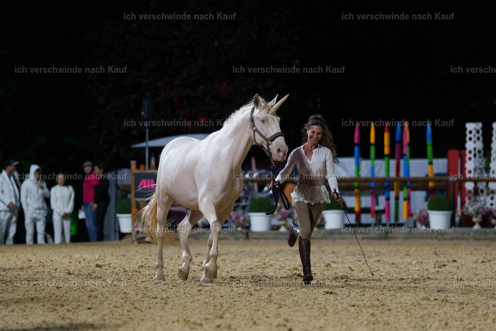 Gala-699 | working equitationturnier fotograf videograf stoibphotography marixx film working equitation deutschland reitsport turnierfotografie eventfotografie equestrian events