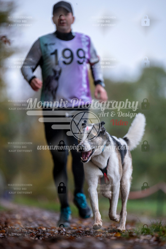 DBT_DAKM_SA_4_11_2023_Canicross-92 | PayLife