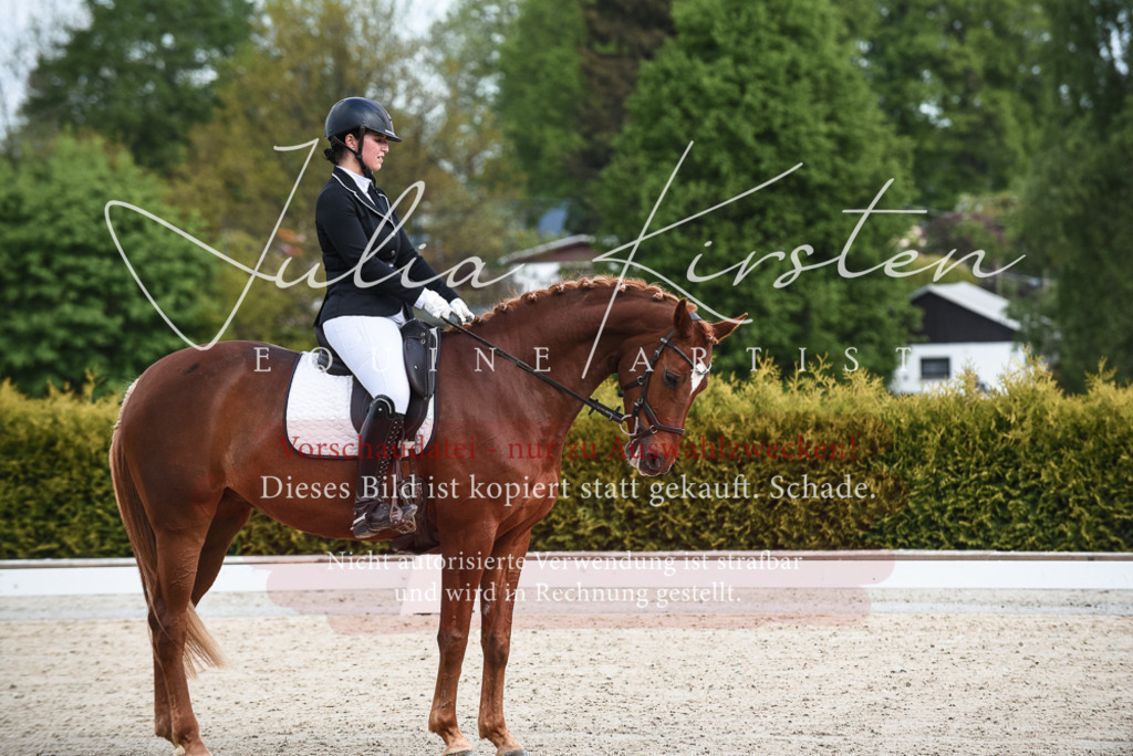 20230518_JK-Röhrsdorf-12-0001 | Pferde- und Turnierfotografie in Westsachsen. Pferdeportraits, Auftragszeichnungen und intuitive Kunst.