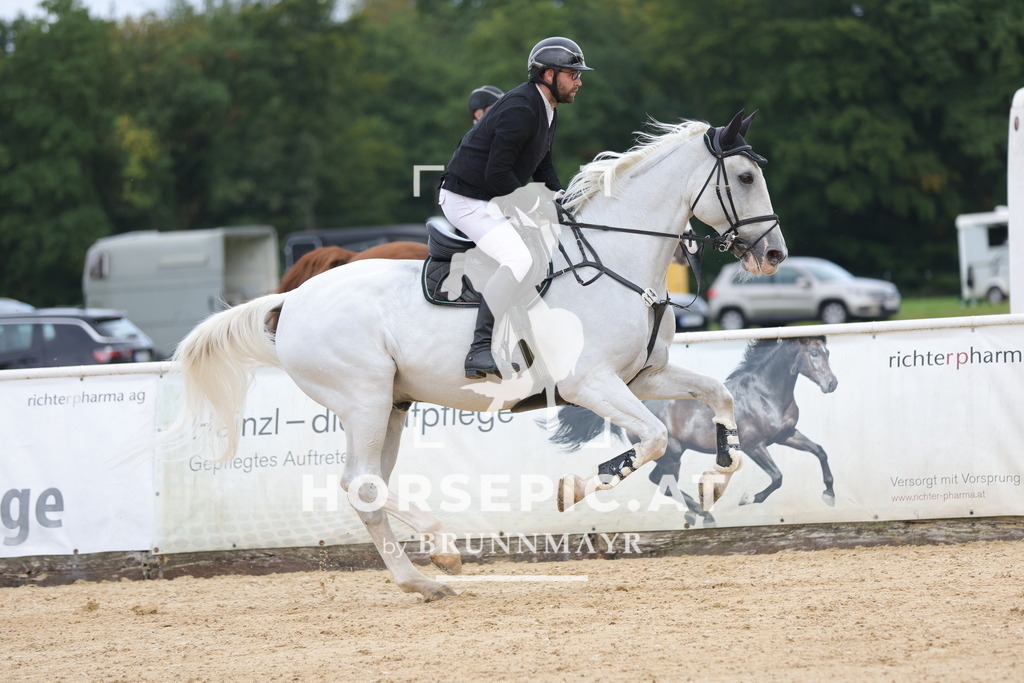 0P6A8809 | Willkommen bei Brunnmayr - Design & Fotografie – Ihrem Spezialisten für Reitturniere und Pferdeveranstaltungen in Oberösterreich, Salzburg und Bayern! Seit über 17 Jahren sind wir leidenschaftlich dabei.