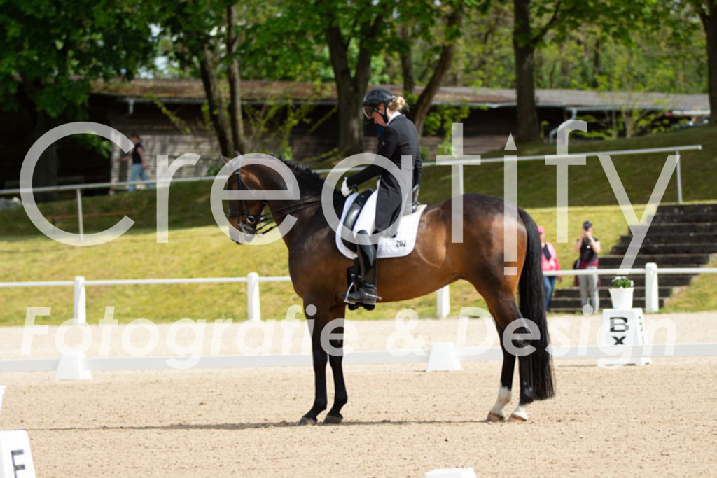 IMG_7147 | Creatify Fotografie