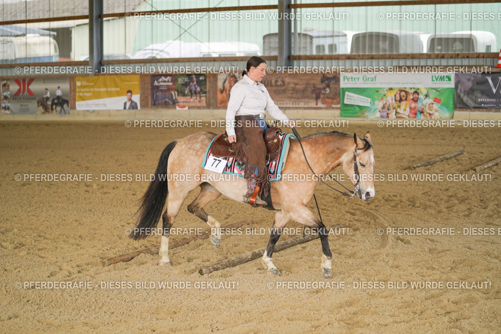 DSC03176 | Pferdegrafie