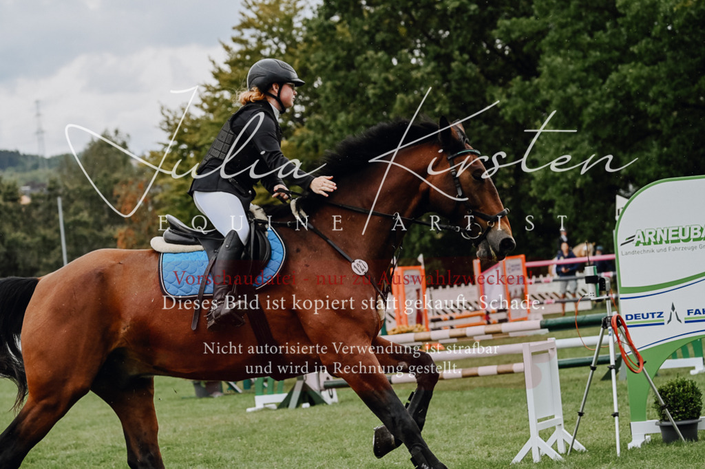 DSC_6876 | Pferde- und Turnierfotografie in Westsachsen. Pferdeportraits, Auftragszeichnungen und intuitive Kunst.