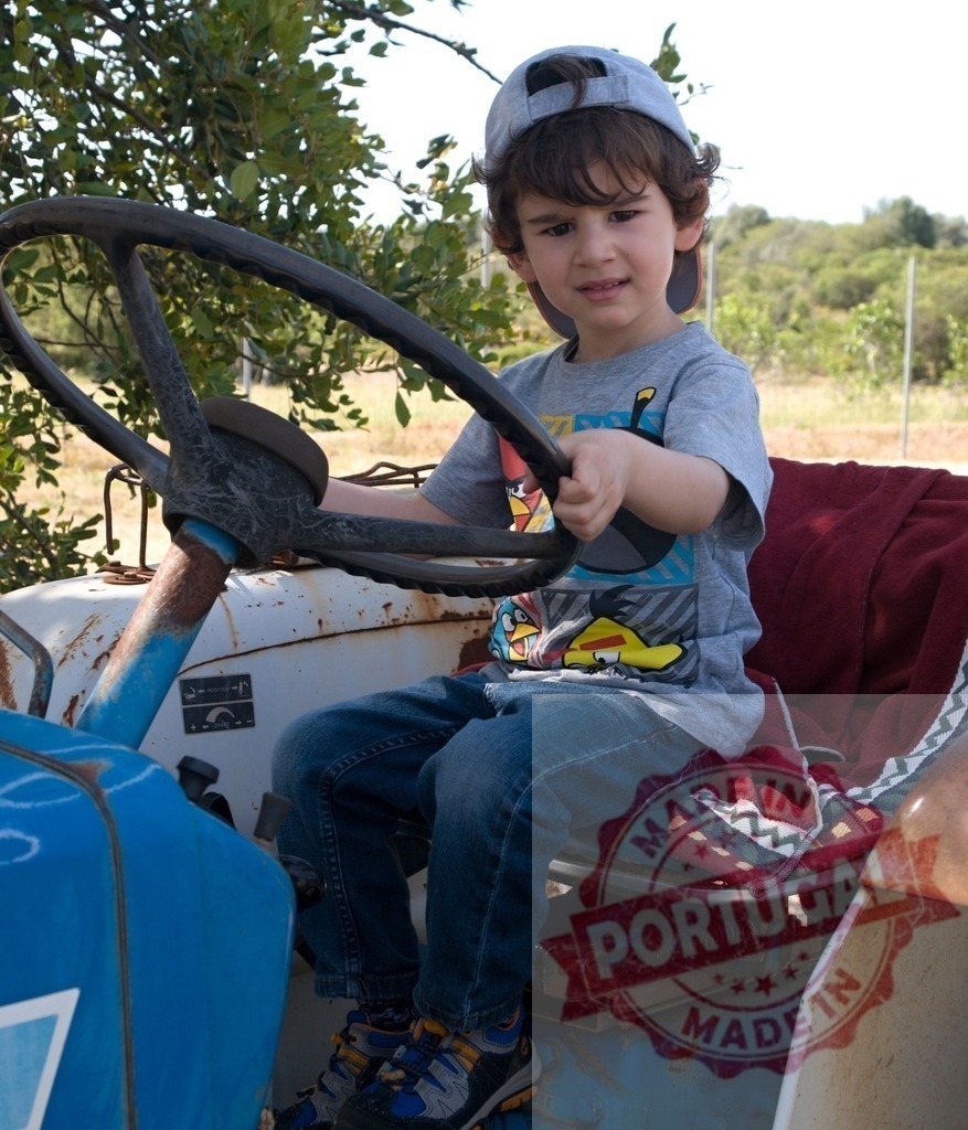 Little boy playing tractor driver on farm | Young child sitting on an old farm tractor, enjoying outdoor play - Realized with Pictrs.com