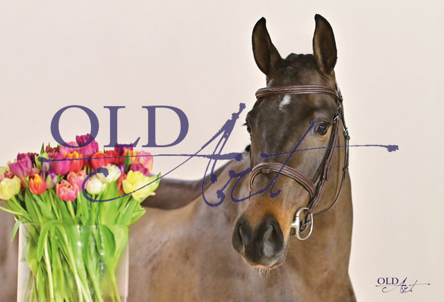 17 Coco Rocha DE418180245619 FE-Rpf Conthargos - Landgold - Grundstein_17_a | <meta name="description" content="★Offizieller Merchandise und Foto-/Videostore des Oldenburger Verbandes.★ ✅Jetzt auch digital Ausdrucke erhältlich." />
<meta name="keywords" content="Merchandise Foto-/Videostore Oldenburger Verband Photographie 