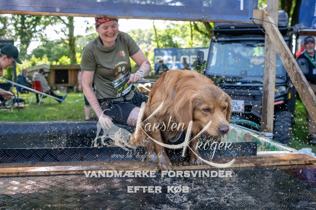 1539_ZZ92502 | kk-dogfotos