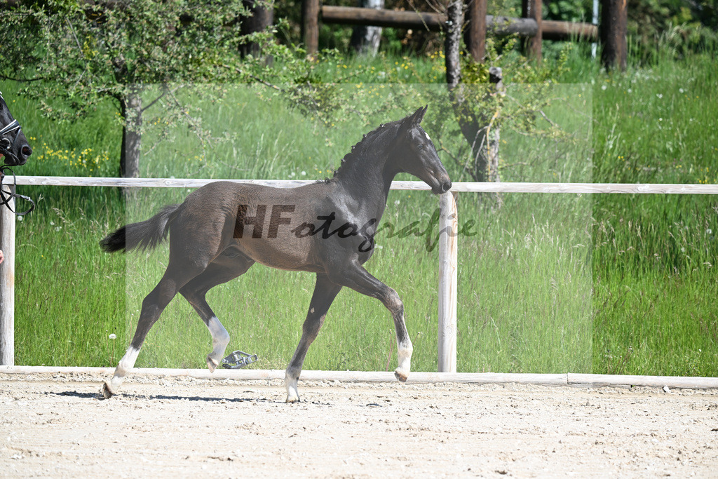 Escaneno x Negro_HF_Eder_10250062 | hf-fotografie - Realizzato con Pictrs.com