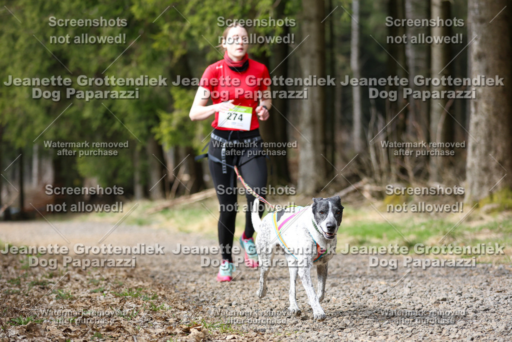 Dog Paparazzi - VCC26-404 | Dog Paparazzi Jeanette Grottendiek Fotografie & Videografie - Realisiert mit Pictrs.com