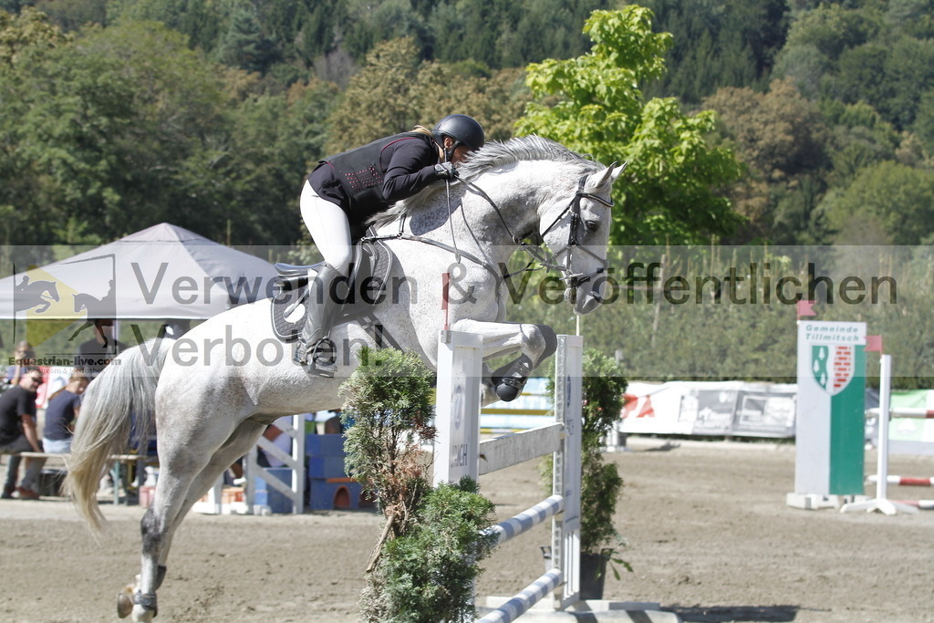 _MG_6317 | equestrian-live-com