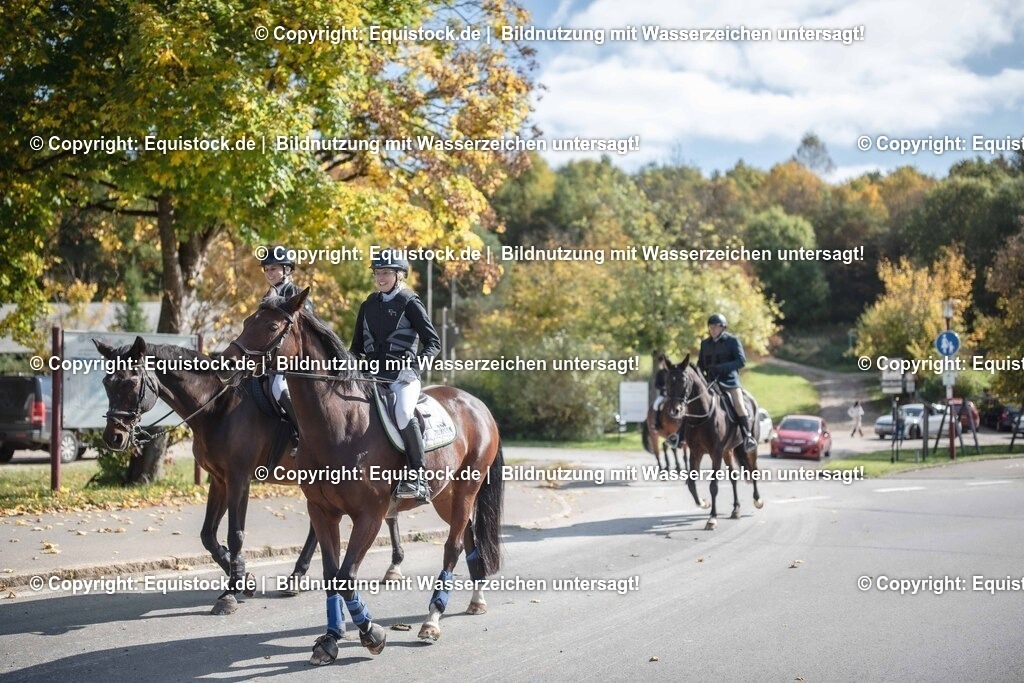 20251011_Jagd-Marbach_0192 | Foto: Thomas Hartig