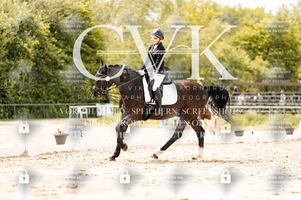 CK902103 | Turnierfotografie Pferdefotografie Trier Rheinland-Pfalz Pferdesport Reitsport Tierfotografie Sportfotografie Pferdevideo Pferdevideografie Equestrianvideography equestrianphotography  - Realisiert mit Pictrs.com