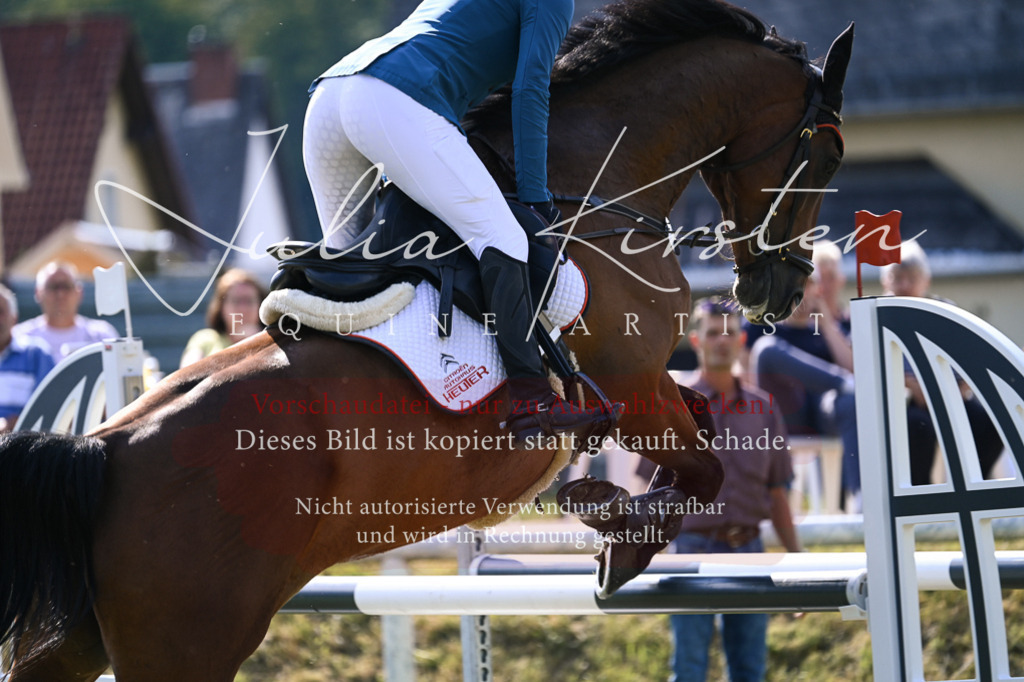 DSC_1157 | Pferde- und Turnierfotografie in Westsachsen. Pferdeportraits, Auftragszeichnungen und intuitive Kunst.