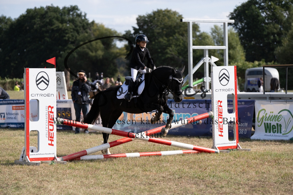 A7V08641 | Pferdefotograf