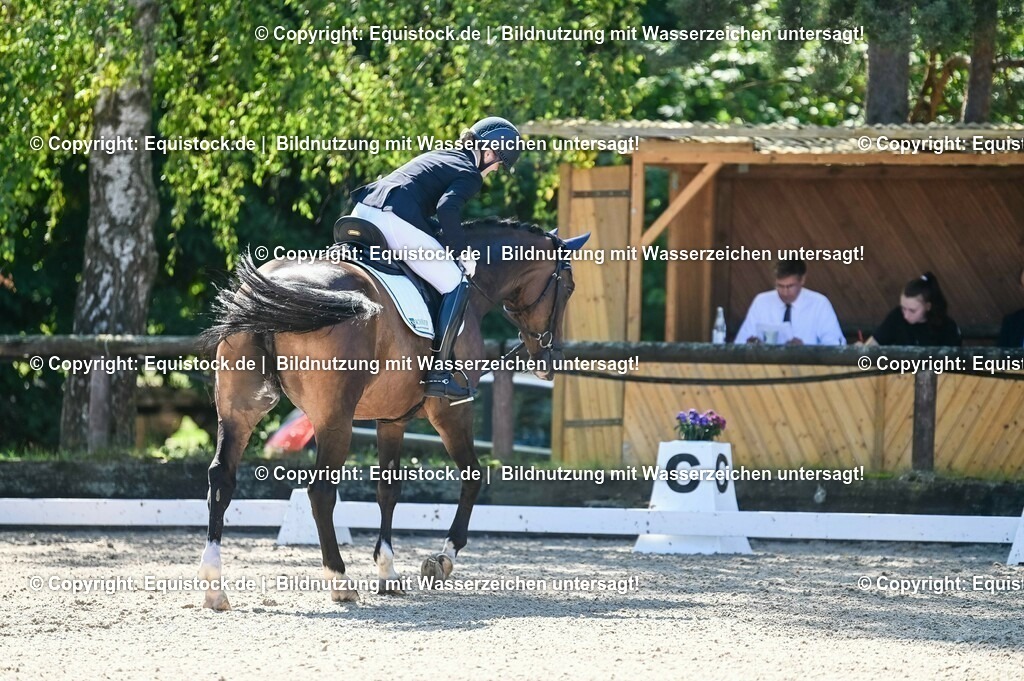 20230908_06_Dressur-L-Trense_0461 | equistock