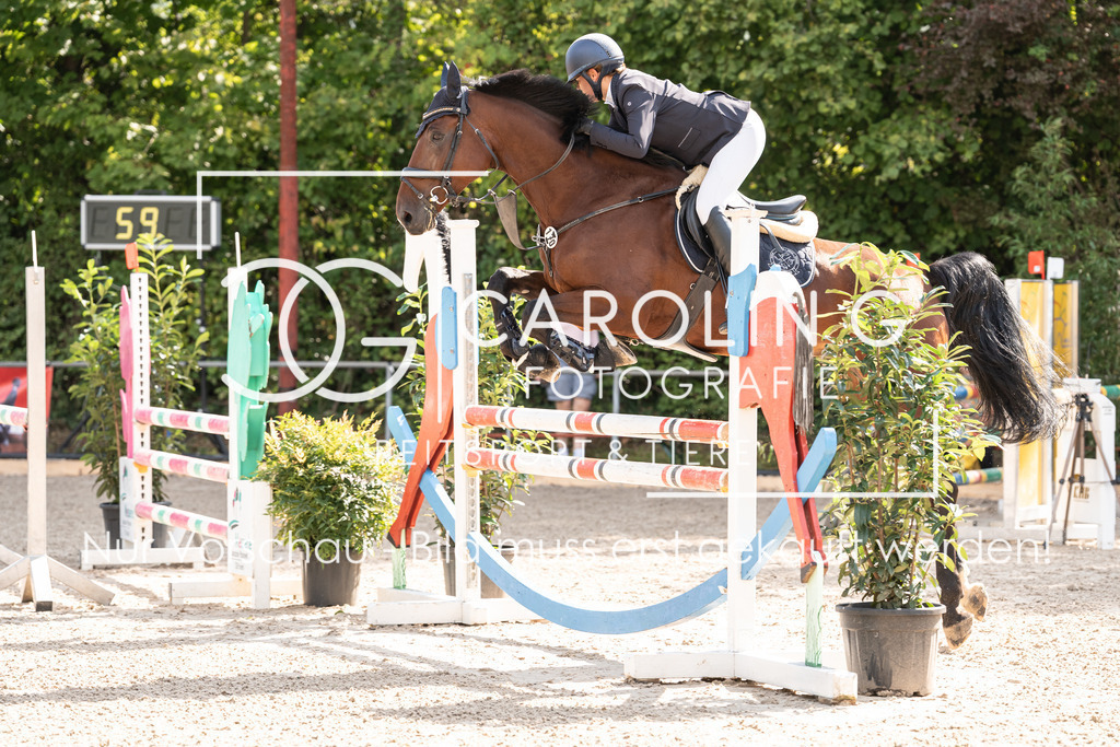 DSC01979 | Carolin Gieschke