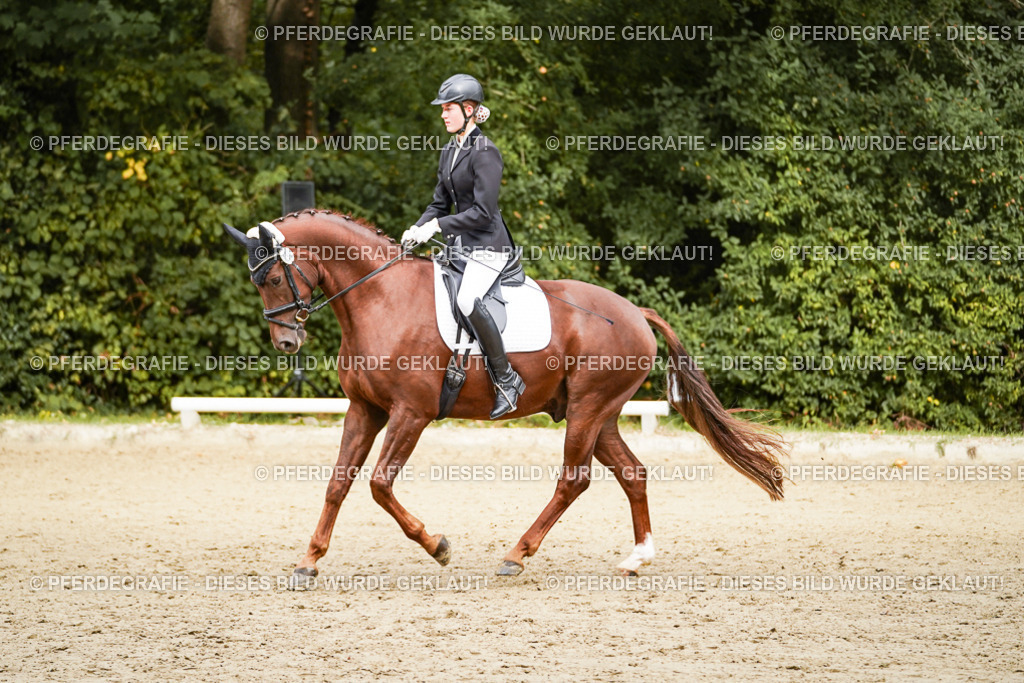 DSC00423 | Pferdegrafie