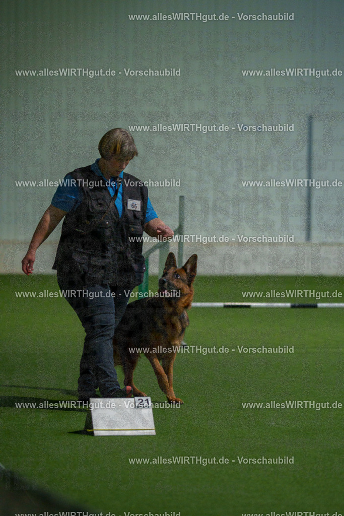 7R508013 | Professionelle Tierfotografie in Mönchengladbach von Daniel Wirth (allesWIRTHgut). Liebevolle & natürliche Bilder von Hunden & Katzen für unvergessliche Erinnerungen.