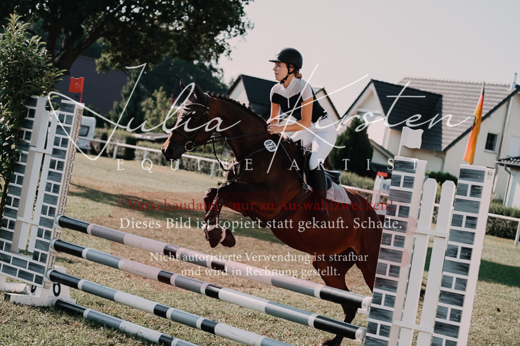 DSC_4778 | Pferde- und Turnierfotografie in Westsachsen. Pferdeportraits, Auftragszeichnungen und intuitive Kunst.