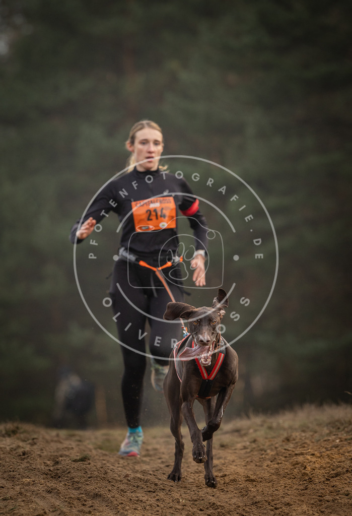 Pfotenfotografie_DV3A5228 | Hundefotografie, Tierfotograf, Pfotenfotografie, Fotoshooting Hund, Hunde Portrait, Hundesport, Hundeportraits, Heideshooting, Hunde, Sportfotograf, Hundefotograf, Turnierhundsport, THS,  - Realisiert mit Pictrs.com