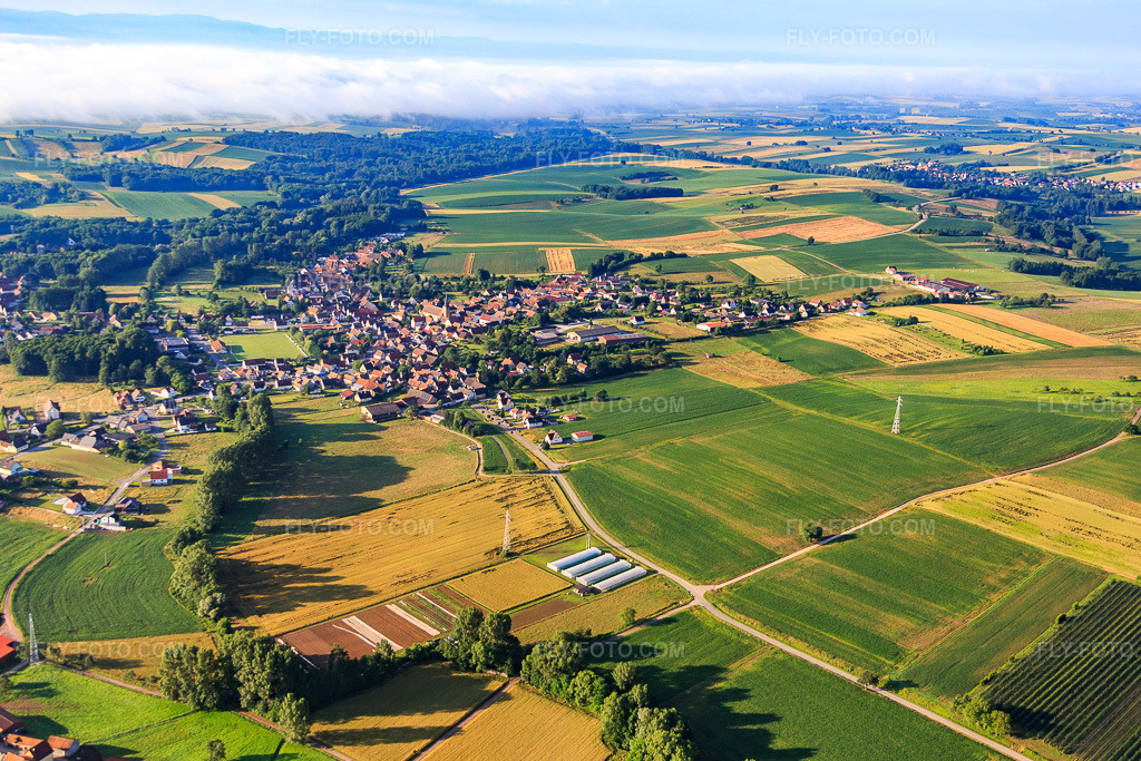Aerial view: View of the town from the northwest in Riedseltz in the state Bas-Rhin, France. – Photo: IMG_089954.jpg taken on 06/26/2016 by Werner Riehm/FLY-FOTO.com – Resolution of the original: 5077 x 3384 px