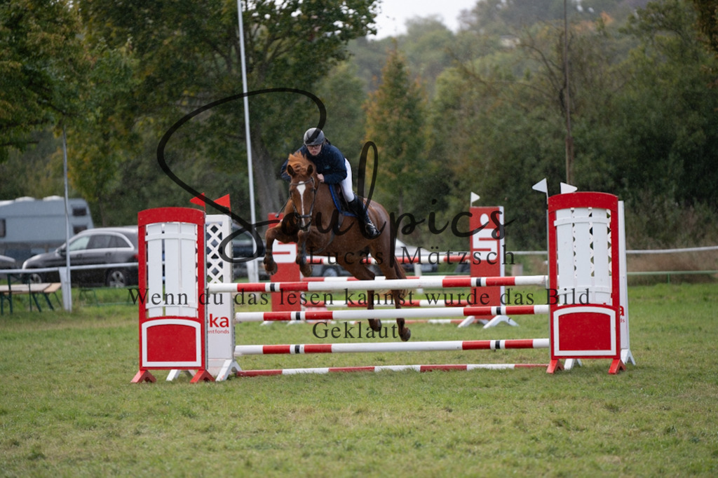 A7V06914 | Pferdefotograf