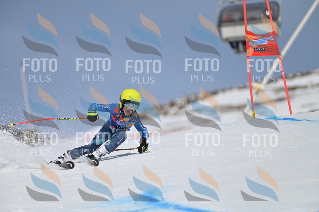 BGV_3581 | holidayphoto