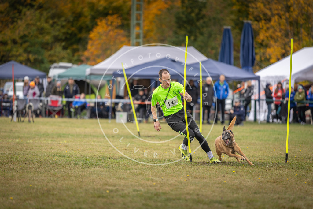 Pfotenfotografie_DV3A8112 | Hundefotografie, Tierfotograf, Pfotenfotografie, Fotoshooting Hund, Hunde Portrait, Hundesport, Hundeportraits, Heideshooting, Hunde, Sportfotograf, Hundefotograf, Turnierhundsport, THS,  - Realisiert mit Pictrs.com
