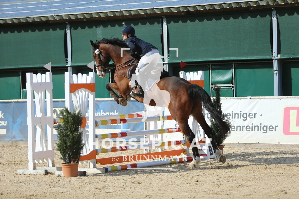 DL2Q3974 | Willkommen bei Brunnmayr - Design & Fotografie – Ihrem Spezialisten für Reitturniere und Pferdeveranstaltungen in Oberösterreich, Salzburg und Bayern! Seit über 17 Jahren sind wir leidenschaftlich dabei.